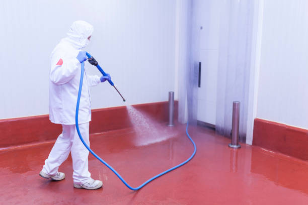 Best Restaurant Pressure Washing  in Mapleton, MN