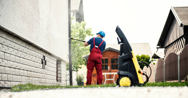 Best Roof Washing  in Mapleton, MN